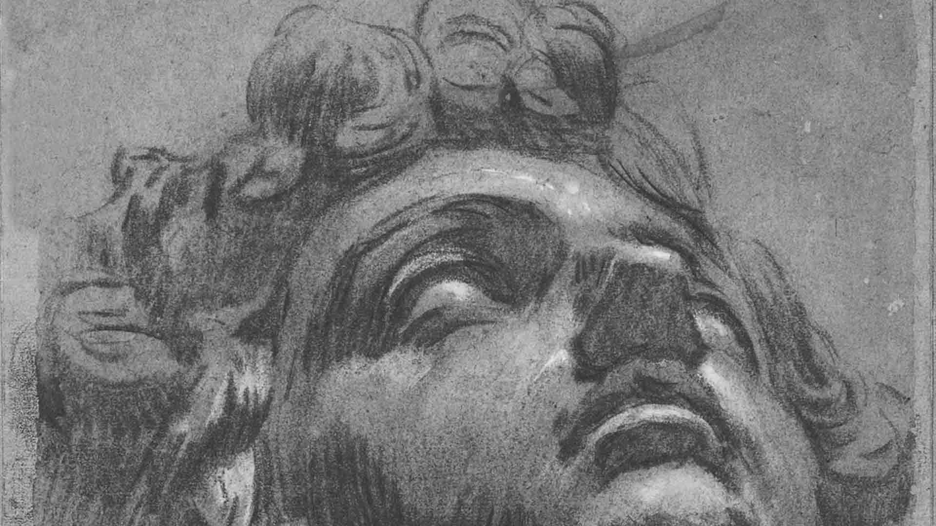 Drawing detail of Head of Giuliano de' Medici, by Tintoretto, 1540's at https://artsandculture.google.com/asset/head-of-giuliano-de-medici-jacopo-tintoretto/9QGqt4_mkjE5NQ