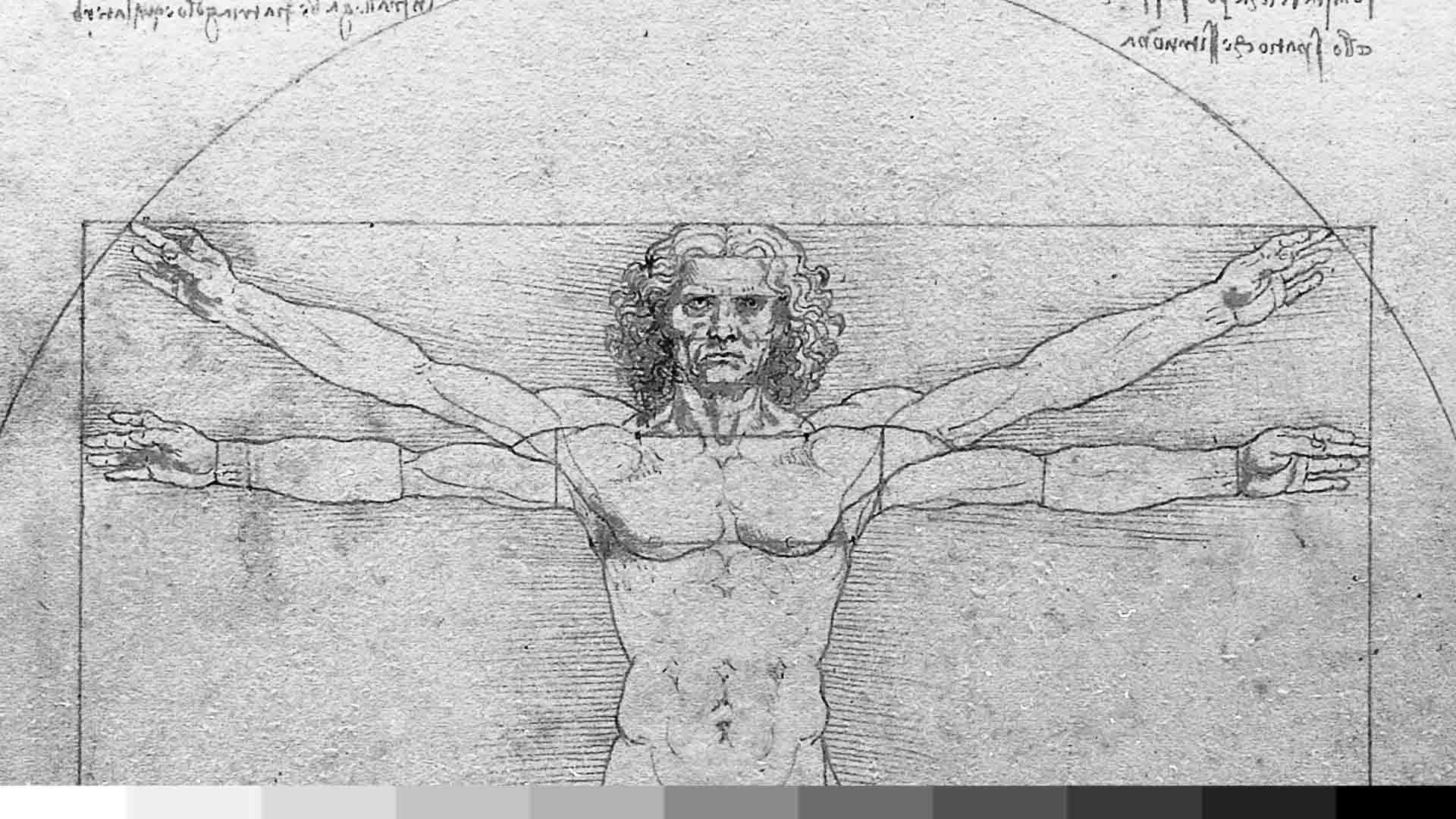 Leonardo da Vinci's Vatruvian Man (CC0 1.0)