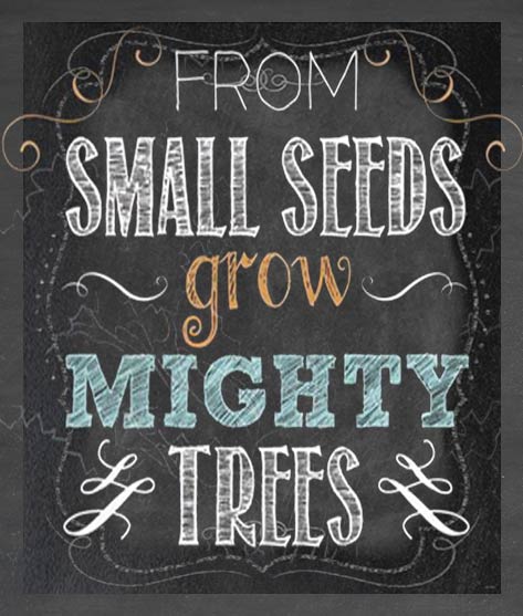 From small seeds grow mighty trees. Pinterest pin by SweetSugarPaperie on Etsy at https://www.etsy.com/listing/160172097/custom-teacher-appreciation-card