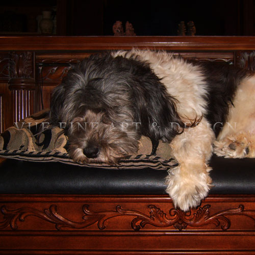 My Furbaby