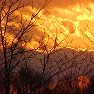 Shelly Solberg Photo - Fall Sunset, Harrison County, WV